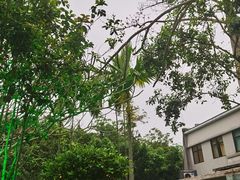 -广东温泉宾馆
