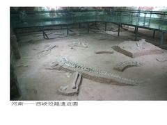 -中国西峡恐龙遗迹园