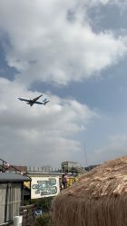 -小蜜蜂农场(凯德七宝购物广场店)