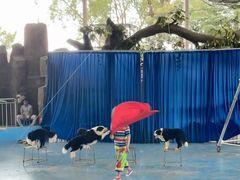 -泉州海丝野生动物世界