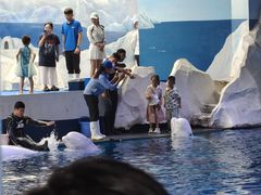 -秦皇岛乐岛海洋王国