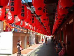-新加坡佛牙寺龙华院