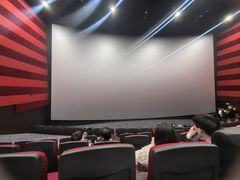 -华谊兄弟影院(IMAX洋桥店)