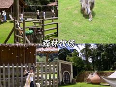 -龙岩森林水乡景区