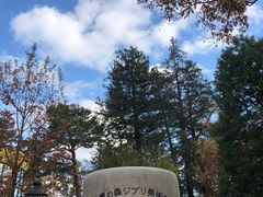 -三鹰之森吉卜力美术馆