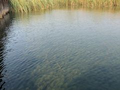 -太湖湖滨国家湿地公园-停车场