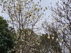 -塔子山公园