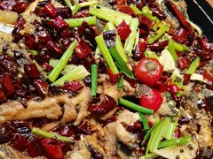 -老板恋上鱼(恒隆广场店)