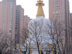 -护国法轮寺