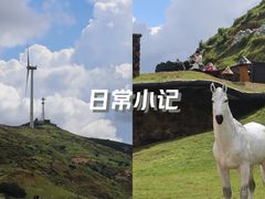 -仰天湖大草原