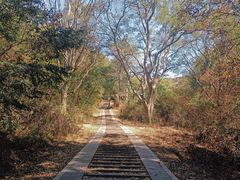 -青龙山国家森林公园