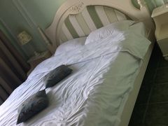 -南京夫子庙国际青年旅舍(平江府路店)