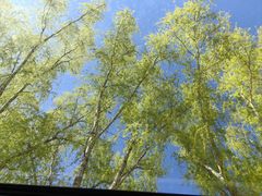 -秦皇岛野生动物园