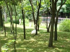 -中国浦东干部学院