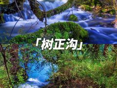 -九寨沟风景区