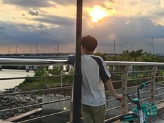 -宝安西湾红树林湿地公园