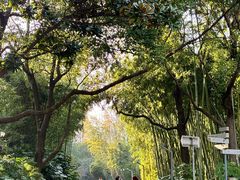 -苏州河梦清园环保主题公园