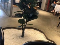 -喜茶(东莞汇一城店)