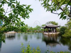-无锡蠡湖国家湿地公园-蠡园
