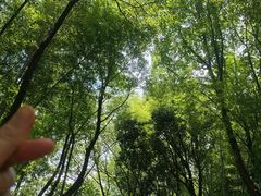 -石燕湖生态旅游景区
