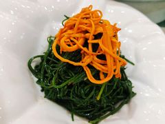 天山野生沙葱-新疆巴州金丝特餐厅(大钟寺店)