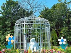 -上海共青森林公园