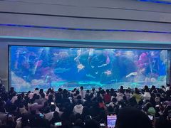 -海合安成都极地海洋公园