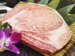 -千寻山野烤肉(中关村店)