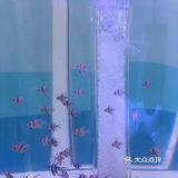 彩色🐸青蛙第一次见哦