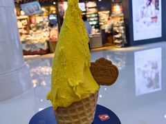 -野人先生Gelato(上海长宁龙之梦店)