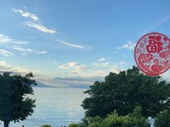 -野菌皇海景野生菌火锅(滨海大道店)