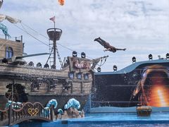 -海合安青岛极地海洋公园