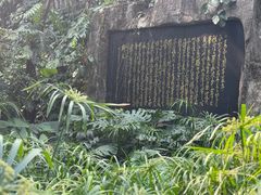 -广州兰圃