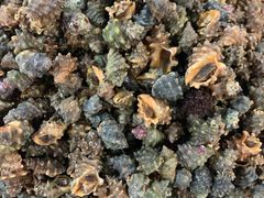 -天天渔港海鲜酒家(石浦玉泉路店)