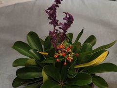 -南堂馆·新川菜(天府三街店)