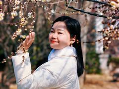 -香雪海