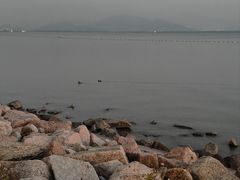 -深圳湾公园(南山区)