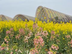 -中国天府农业博览园