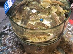 -强记海鲜·大排档(蛇口新街店)