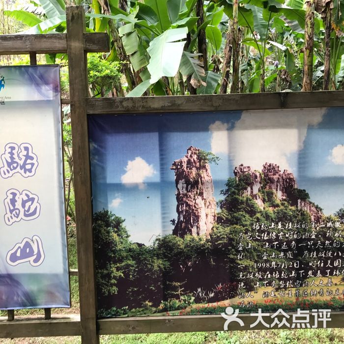 骆驼山图片-北京自然风光-大众点评网