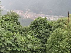 -藏龙百瀑风景区