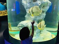 -福州罗源湾海洋世界旅游区