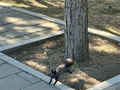 -北陵公园