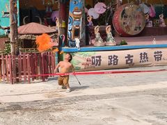 -呀路古热带植物园