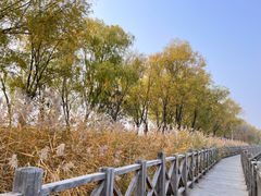 -野鸭湖国家湿地公园