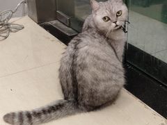 -Oasis绿洲银饰珍珠手作diy(壹方城店)