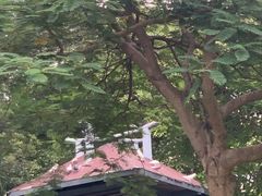 -白鹭洲公园