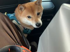 -联合动物医院(光谷诊疗中心)