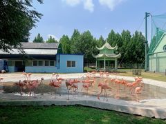 -秦皇岛野生动物园