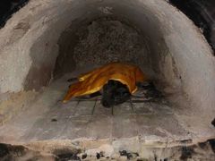 -彩虹桥宠物火化殡葬善终服务(金乐大厦店)